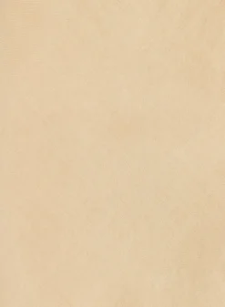 Bella Dahl Bias Midi Skirt - Summer Khaki- Skirts